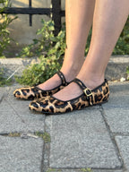 Leopar Leopard