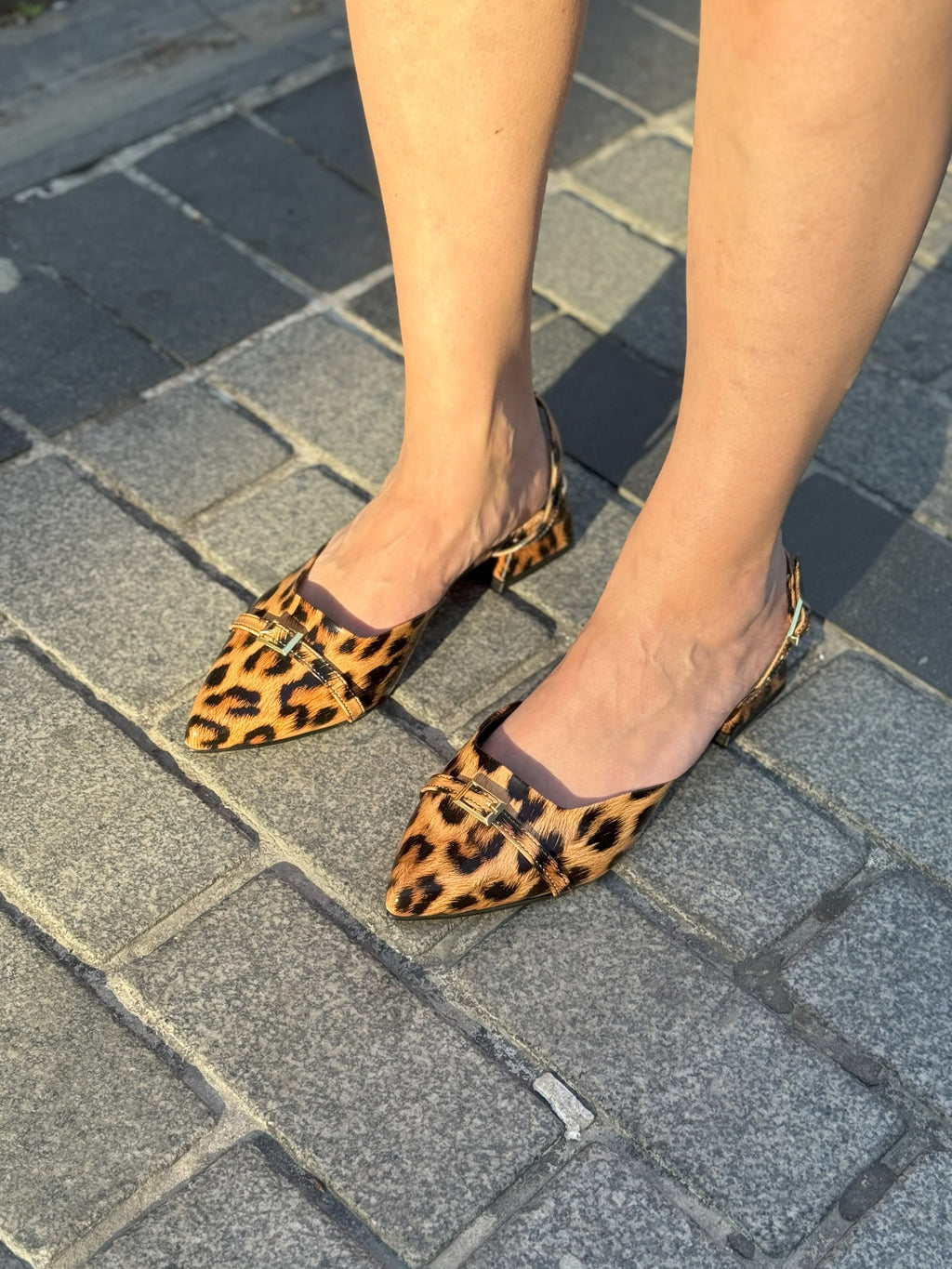 Leopar Leopard